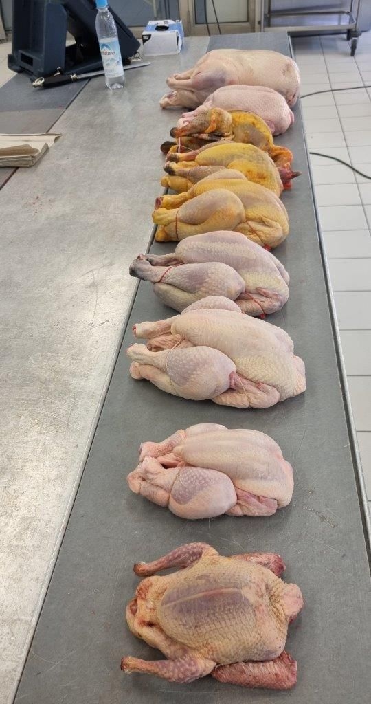 Keller Promotion, Inh. Michael Keller