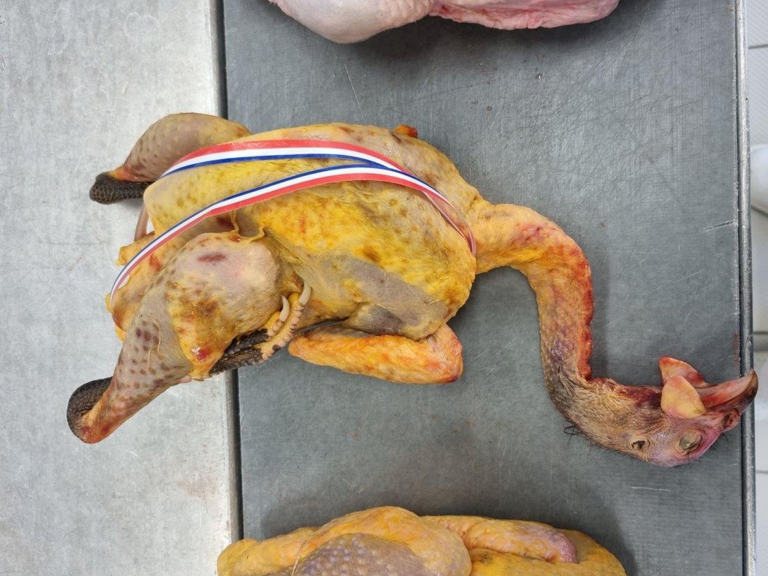 Keller Promotion, Inh. Michael Keller