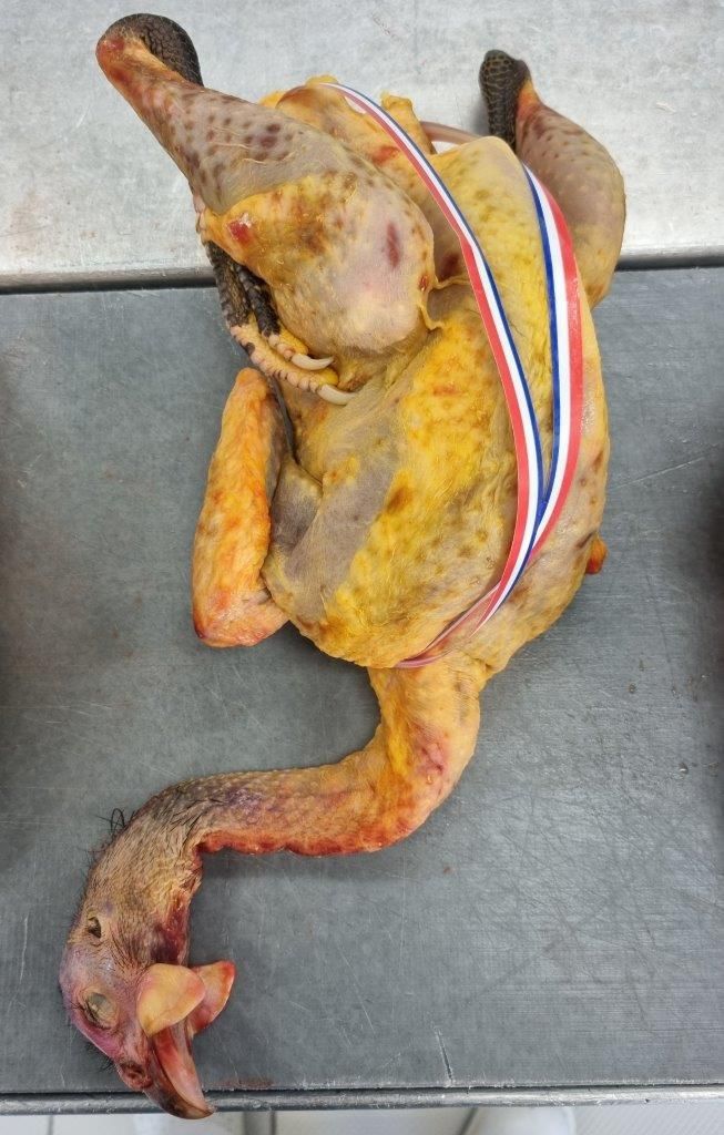 Keller Promotion, Inh. Michael Keller