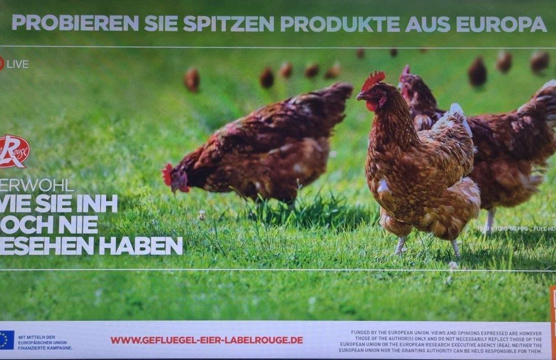 Keller Promotion, Inh. Michael Keller