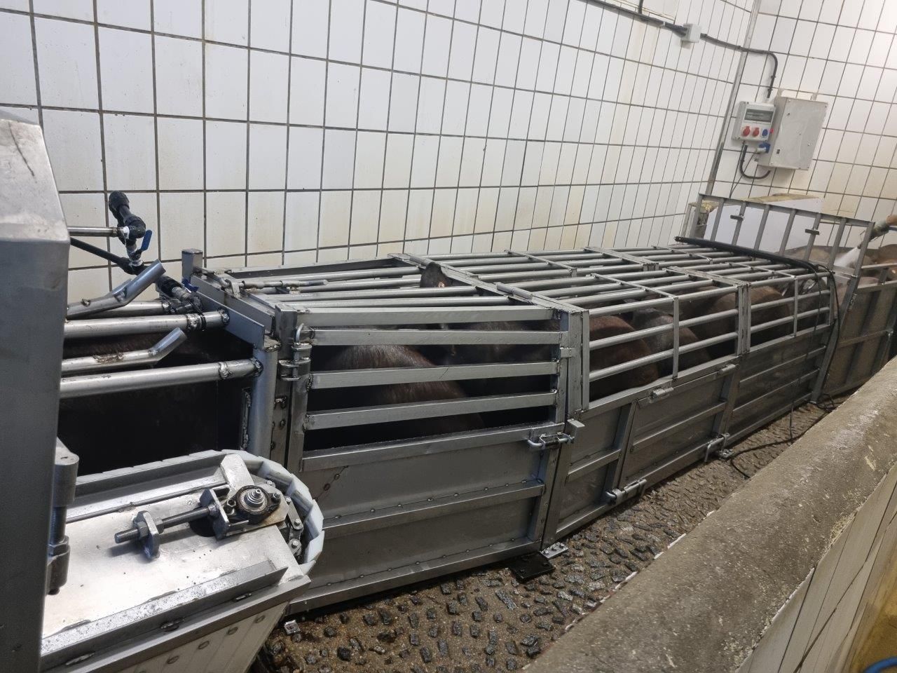 Mataderos Salamanca – Impressionen aus dem Schlachtbetrieb – Salamanca 05.05.23