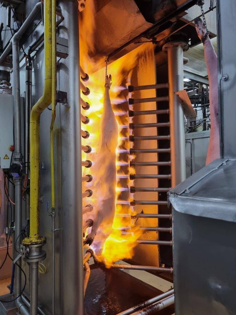 Mataderos Salamanca – Impressionen aus dem Schlachtbetrieb – Salamanca 05.05.23