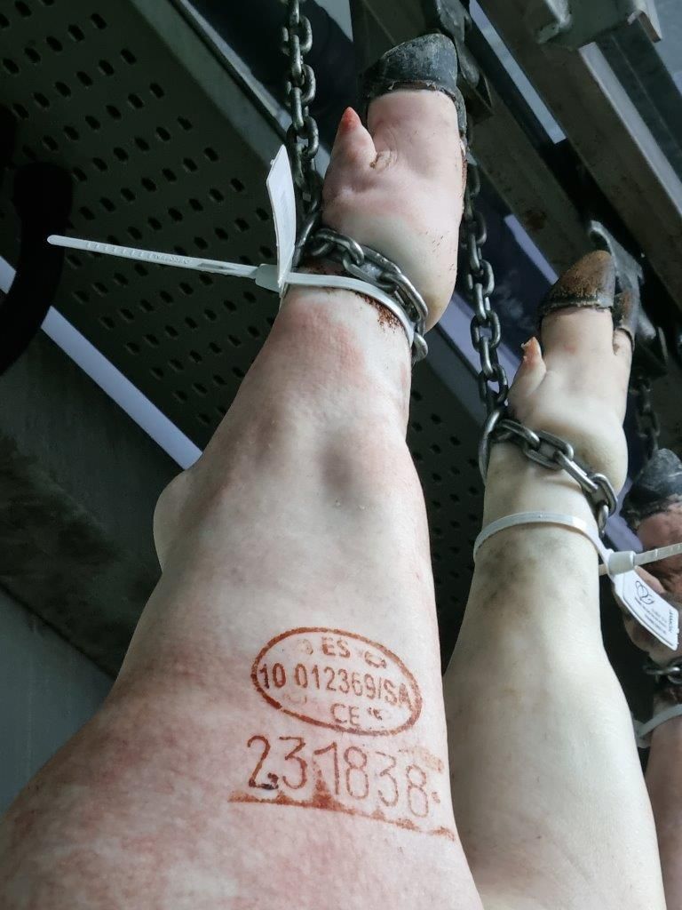 Mataderos Salamanca – Impressionen aus dem Schlachtbetrieb – Salamanca 05.05.23