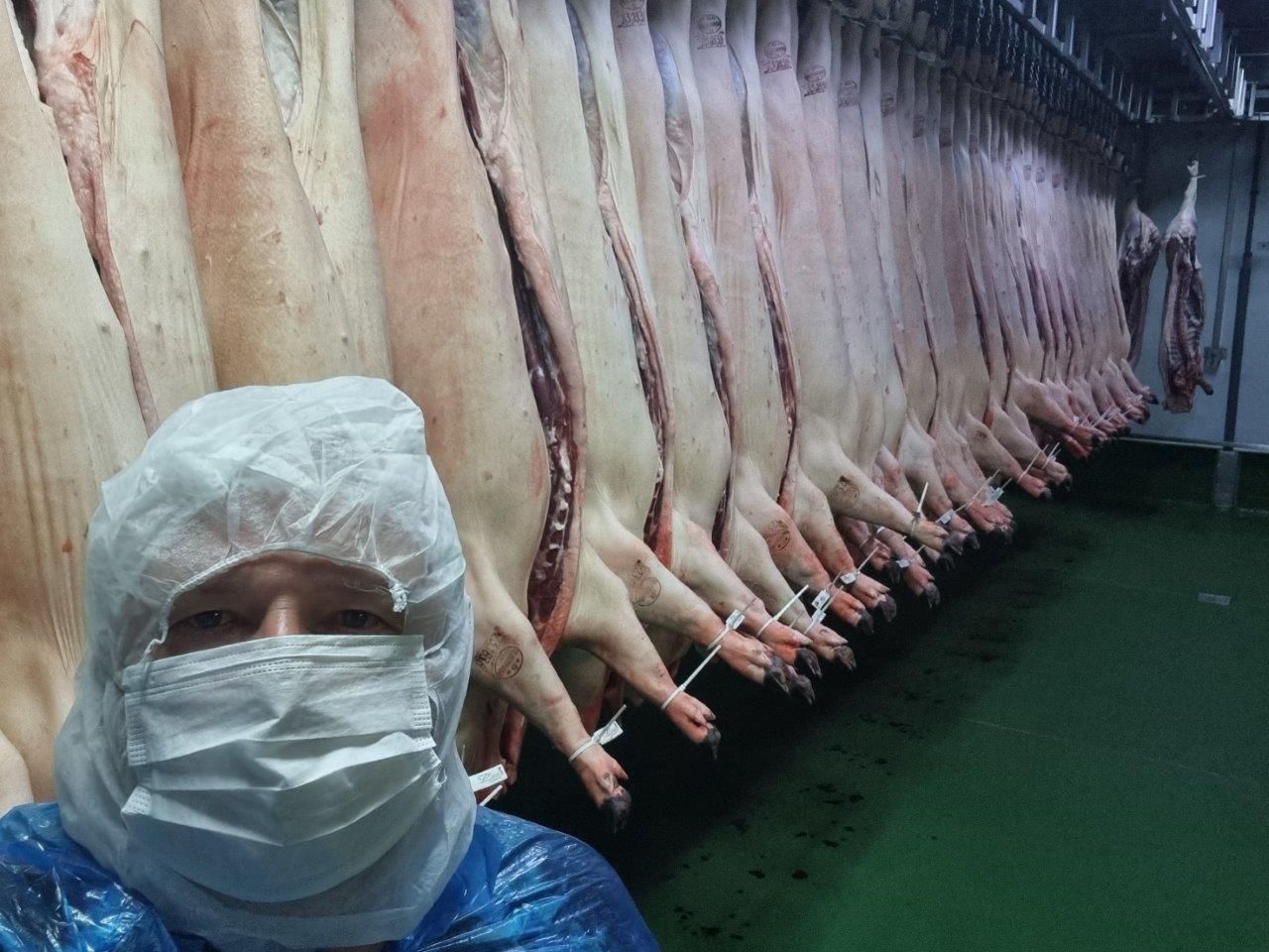 Mataderos Salamanca – Impressionen aus dem Schlachtbetrieb – Salamanca 05.05.23