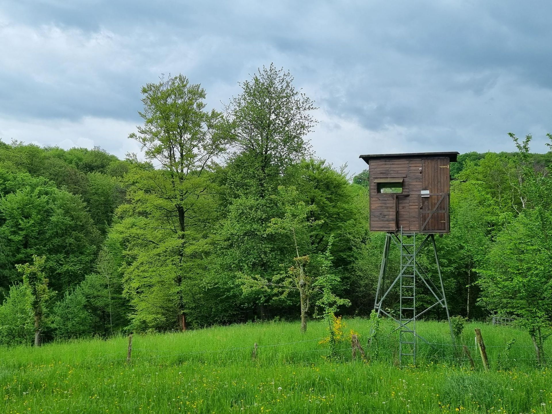 Wildacker Rösrath – Fotoshooting Wildbuch – Bleifelder Revier 13.05.23