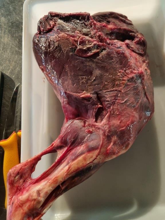 BBQ-Week der Fire & Food – Wild auf Wild am Start – Albgut Münsingen 18.-20.05.23