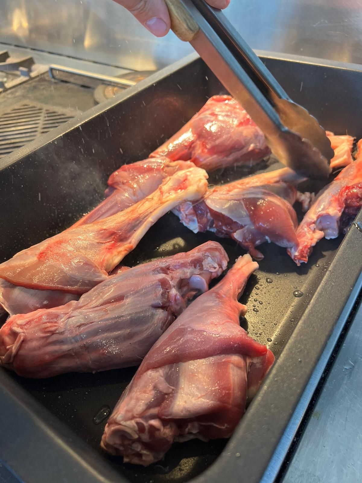 Reh Total – mit 24 Wildinteressierten – Kalieber Stützpunkt – Lastrup 04.06.23