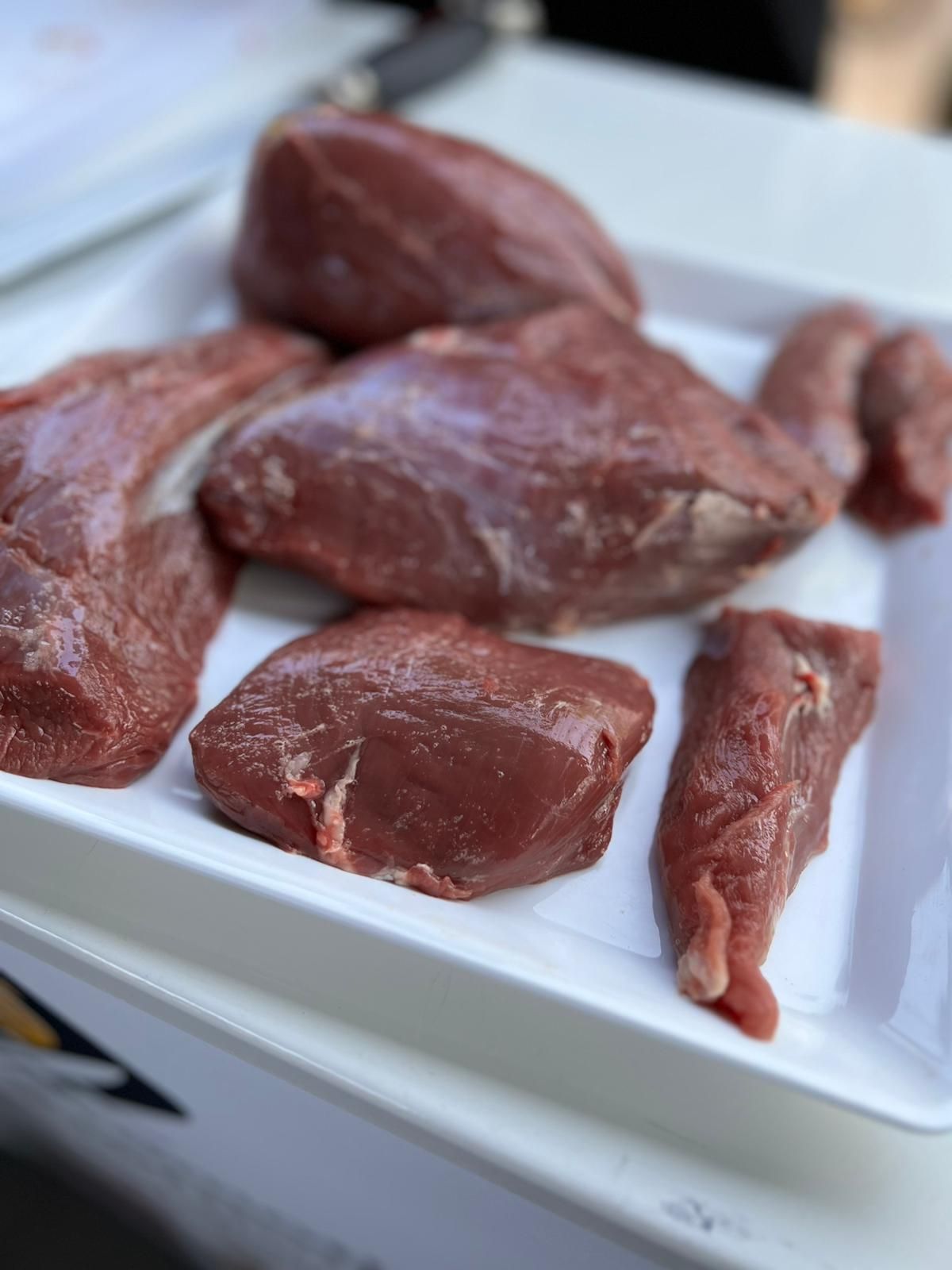 Reh Total – mit 24 Wildinteressierten – Kalieber Stützpunkt – Lastrup 04.06.23