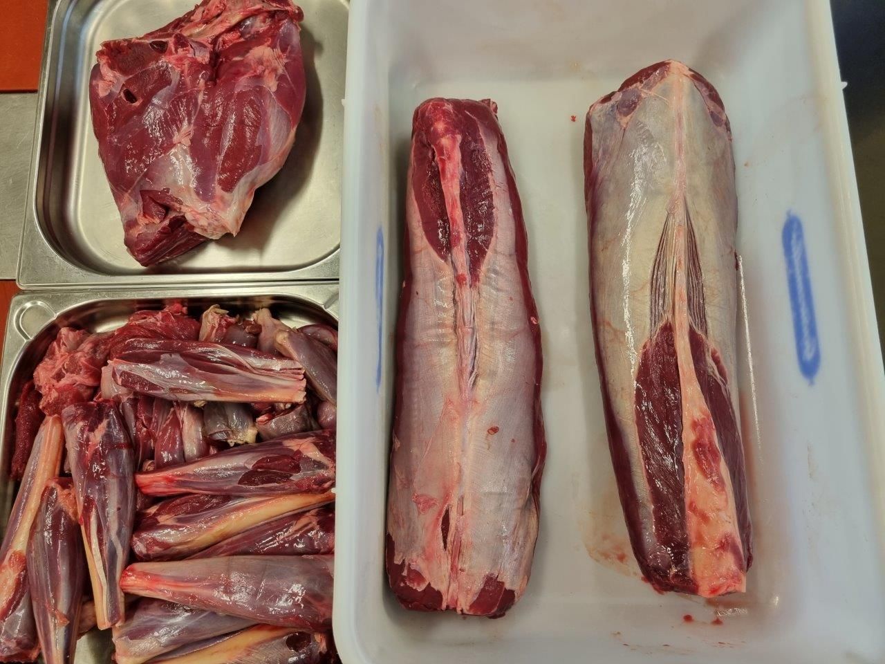 Wildsommelier Kurs Nr. 3 – Niederwild – Federwild und Hase – Fleischerschule Augsburg 13.07.23