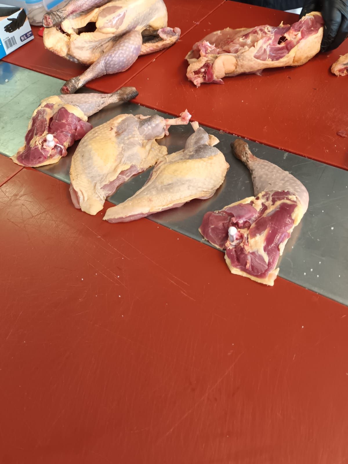 Wildsommelier Kurs Nr. 3 – Niederwild – Federwild und Hase – Fleischerschule Augsburg 12.07.23