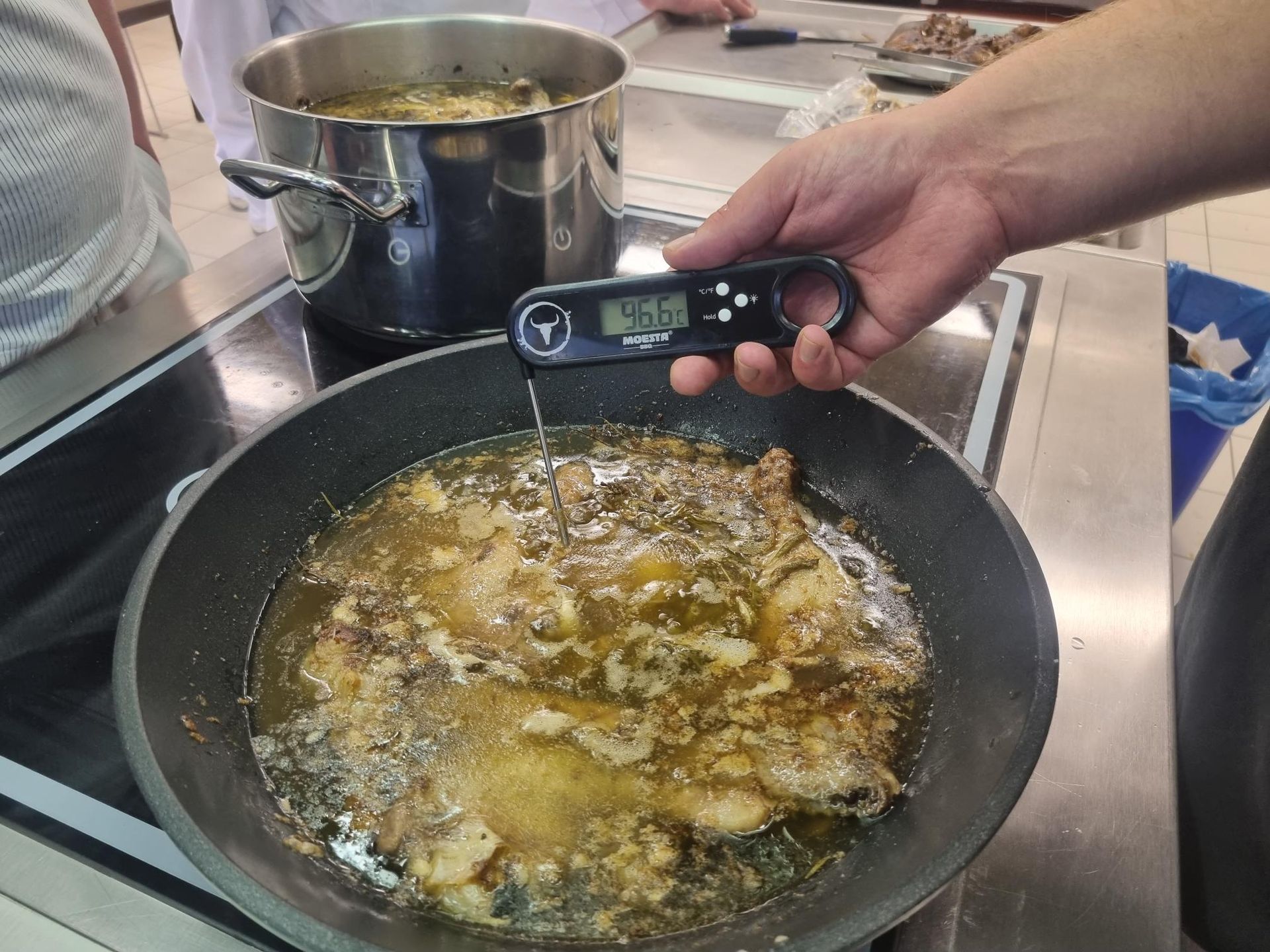 Wildsommelier Kurs Nr. 3 – Niederwild – Federwild und Hase – Fleischerschule Augsburg 12.07.23