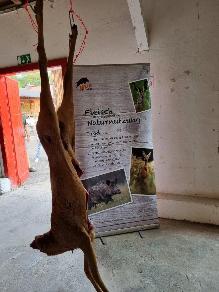 Jagdmesse Hubert – Reh Zerwirk Kurs – Münsingen 15. - 17.09.23