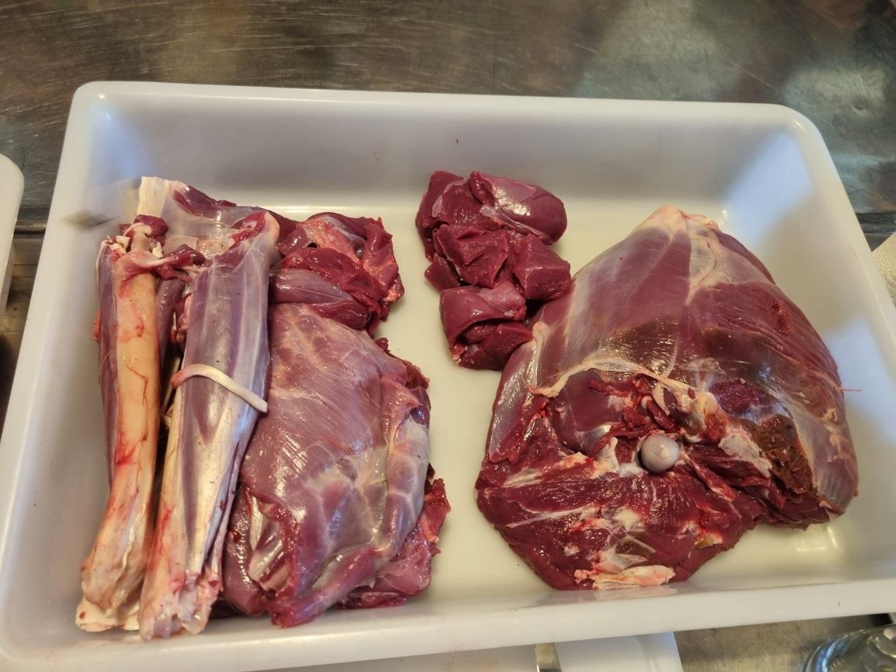 Jagdmesse Hubert – Reh Zerwirk Kurs – Münsingen 15. - 17.09.23