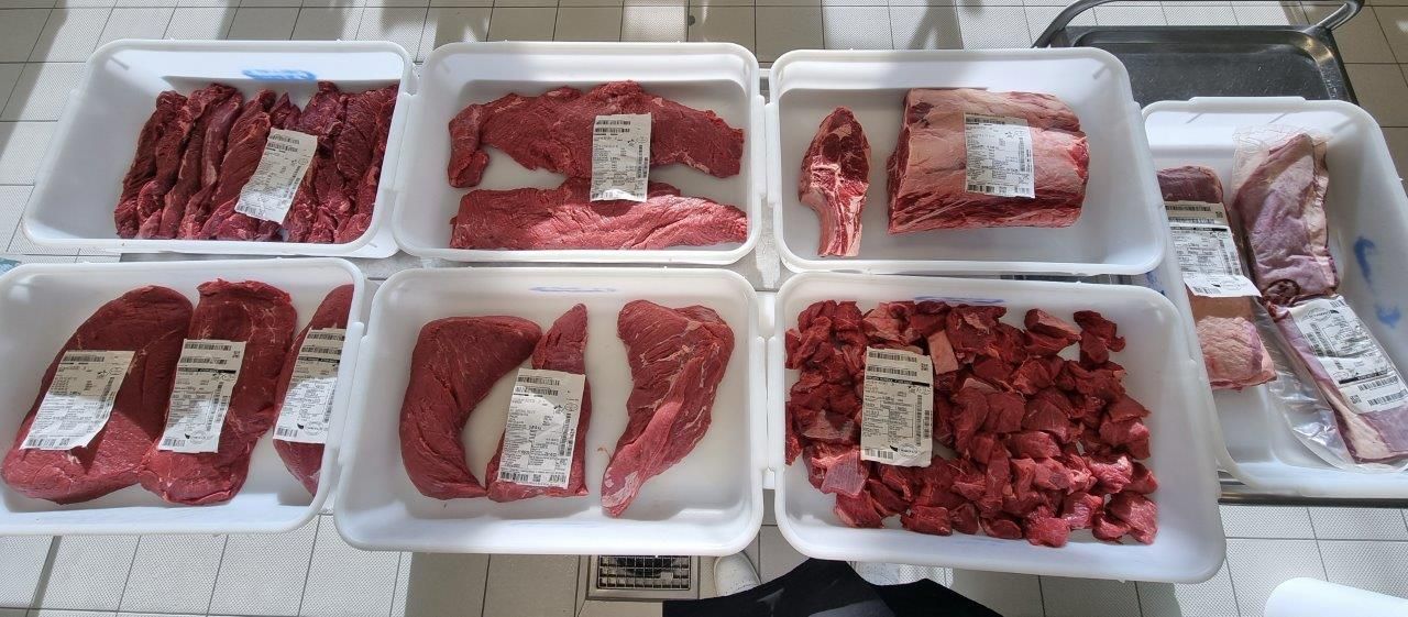 Nachhaltigkeit von Geflügel – am Beispiel „Label Rouge“ – Rheinstetten 19.09.23