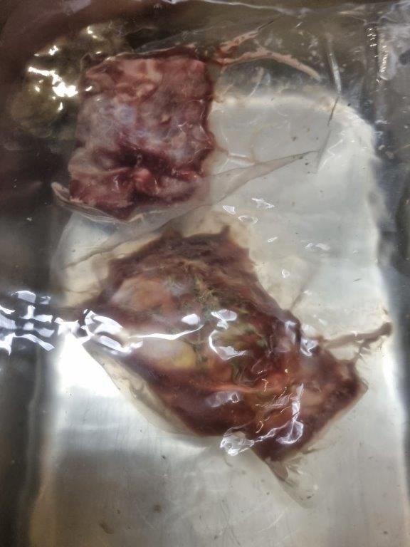 Wildes Erleben – Frischeparadies Kundenabend vom feinsten – Leipzig 05.10.23