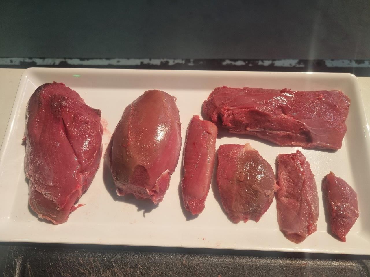 Jagd & Angeln – Bühnenshow mit Wild Total – Reh - Wildschwein – Muffel – Leipzig 06. – 08.10.23