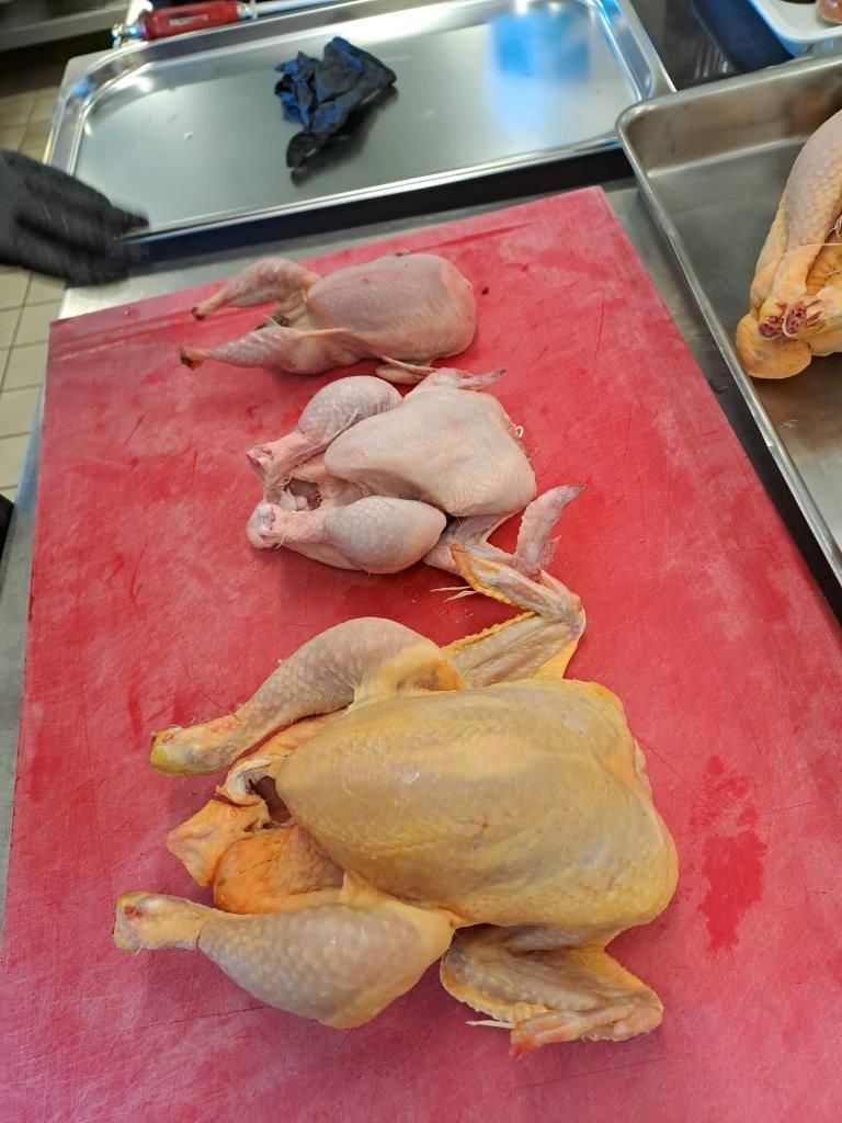 Label Rouge – Weiterbildung Julius Wegeler Schule Köche O3 – Koblenz 10.10.23