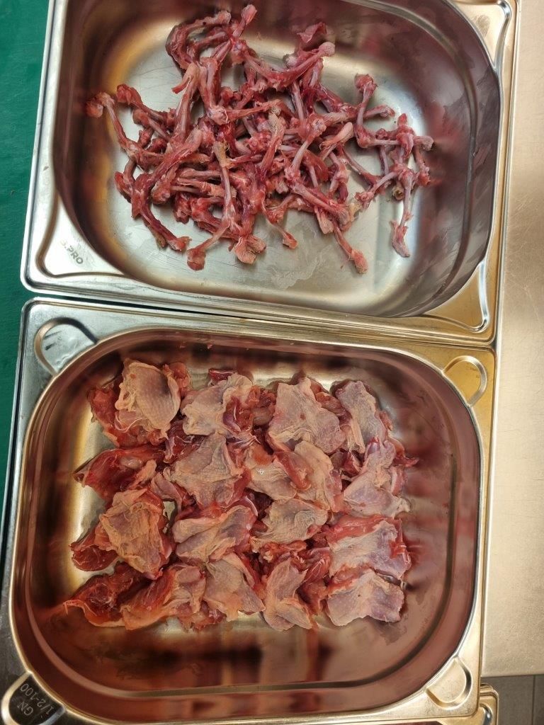 Kundenevent im Frischeparadies - Wildes Erleben FP-Berlin West – 02.11.23