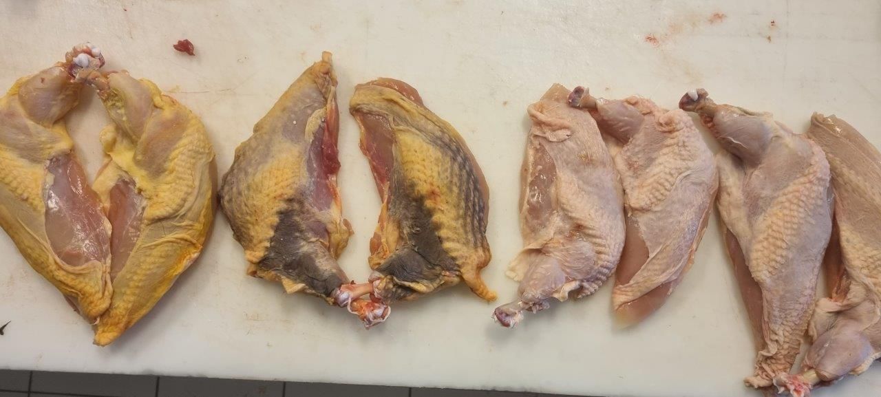 Wild & Geflügel – Schulung im aktuellen Kurs – Fleischsommelier Fleischerschule Augsburg 08.11.23