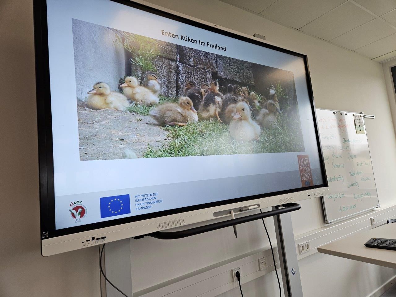 Barbarie Ente und mehr 