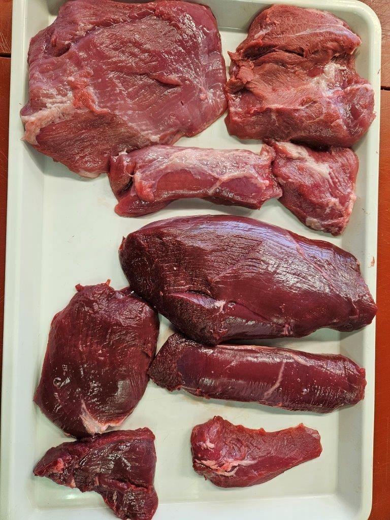 Wild & Geflügel Wissen – für den 34.sten Fleischsommelierkurs – Fleischerakademie Augsburg 10.04.24