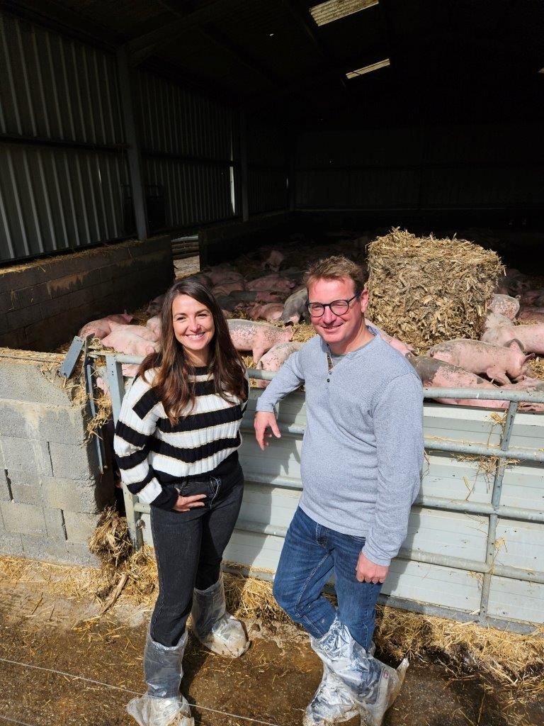 Freilandschweine und bestes Sole Salz - geniale Schinken für Jambon de Bayonne g.g.A. - Orist/Salies-de-Béarn  Mai 2024