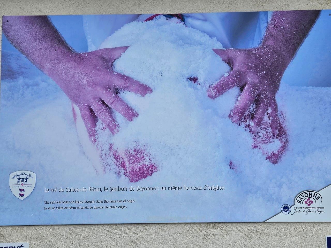 Freilandschweine und bestes Sole Salz - geniale Schinken für Jambon de Bayonne g.g.A. - Orist/Salies-de-Béarn  Mai 2024