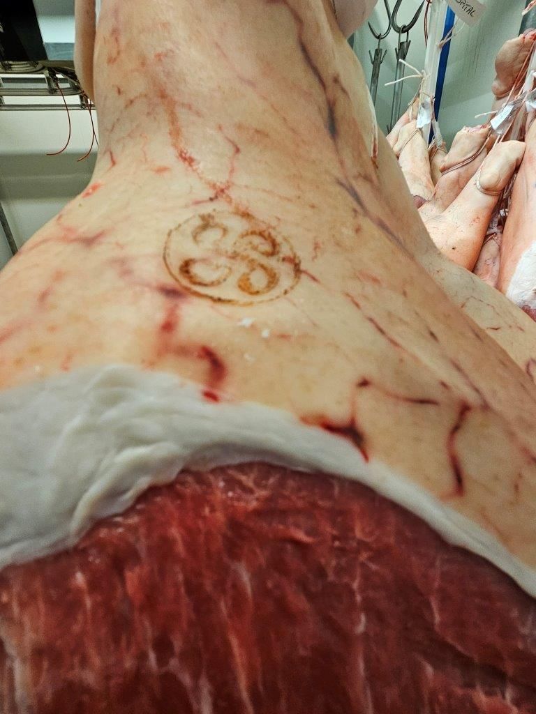 Jambon-de-Bayonne - Besuch der Produktion mit Fach Pressekollegen - Arzacq-Arraziguet 22.05.24