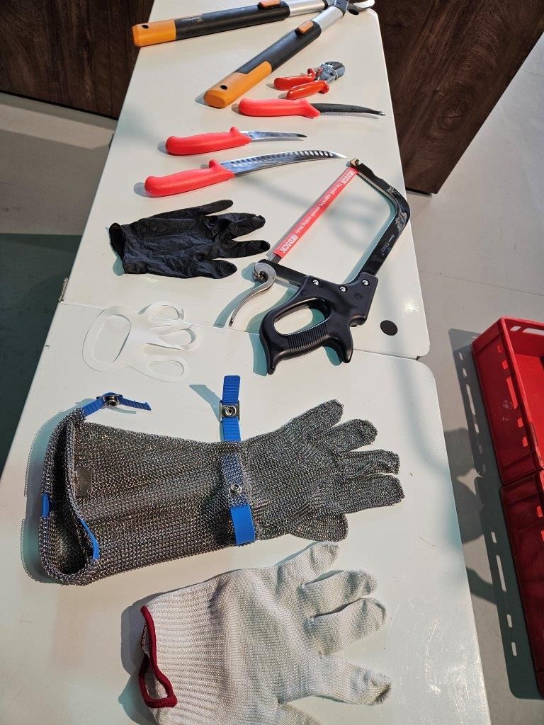 Jagd & Angeln - Wildschwein und Reh Total auf der Genussbühne - 27. - 28.09.24 Leipzig