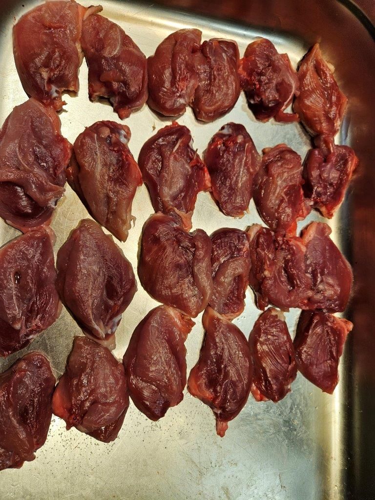 Wildes Erleben vom feinsten – Frischeparadies Leipzig – 16.10.24