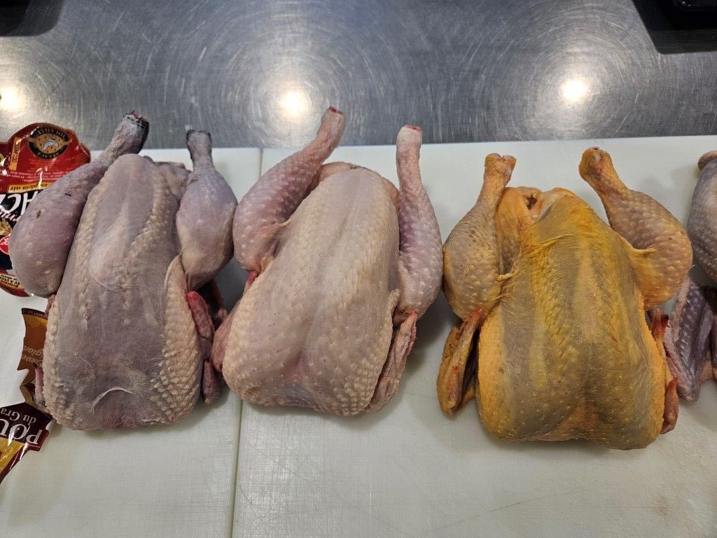 Fleischermeister Kurs - Fleischerschule Heyne - Label Rouge Geflügel - Weiterstadt KW45