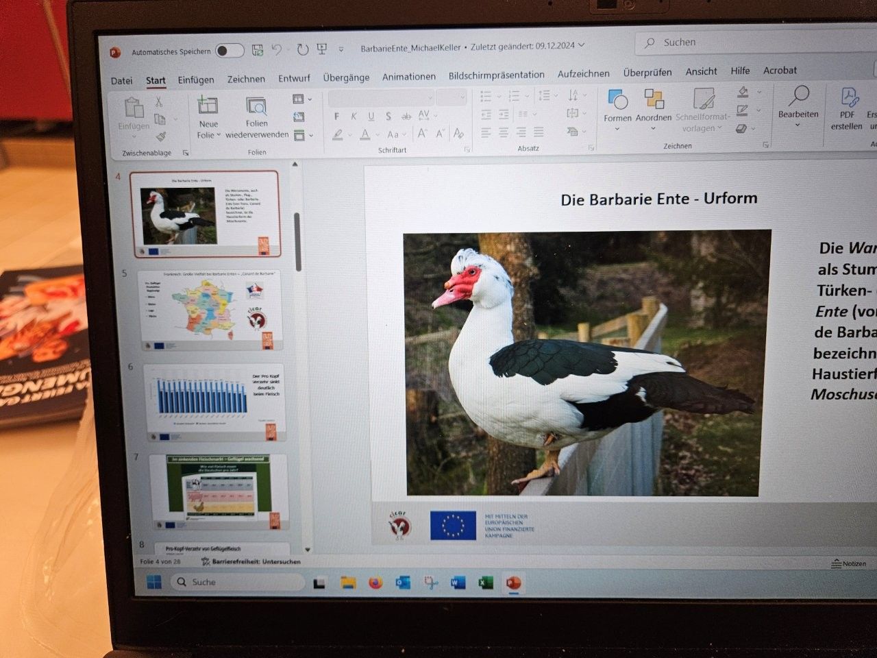 Powerpoint Präsentation