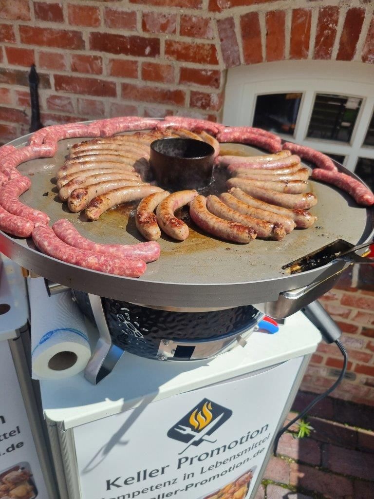 Jagd in Lütetsburg – Damwild Total vom Allerfeinsten – Lütetsburg 09.08.23