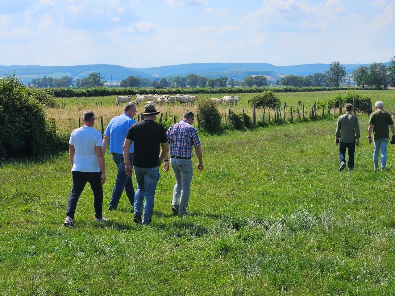 Charoluxe Reise mit Club Ambassadeur - Burgund / Charolles und Umland 25. - 27.06.24