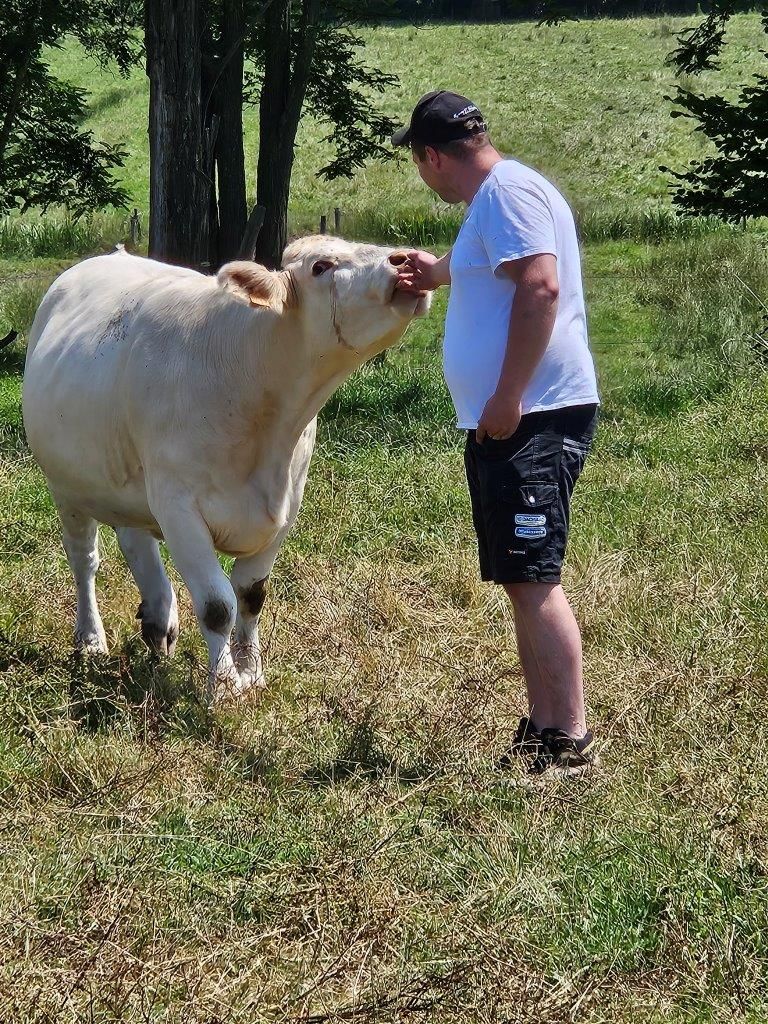 Charoluxe Reise mit Club Ambassadeur - Burgund / Charolles und Umland 25. - 27.06.24