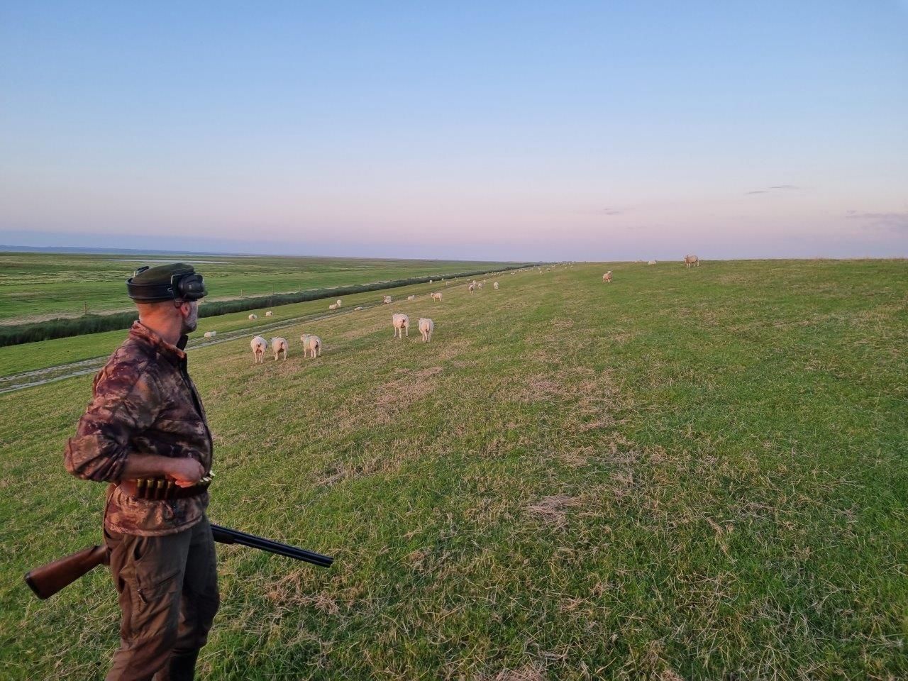 Ganz viel Arbeit mit den Gänsen – Jagdschulung in Lütetsburg am Deich 12.09.23