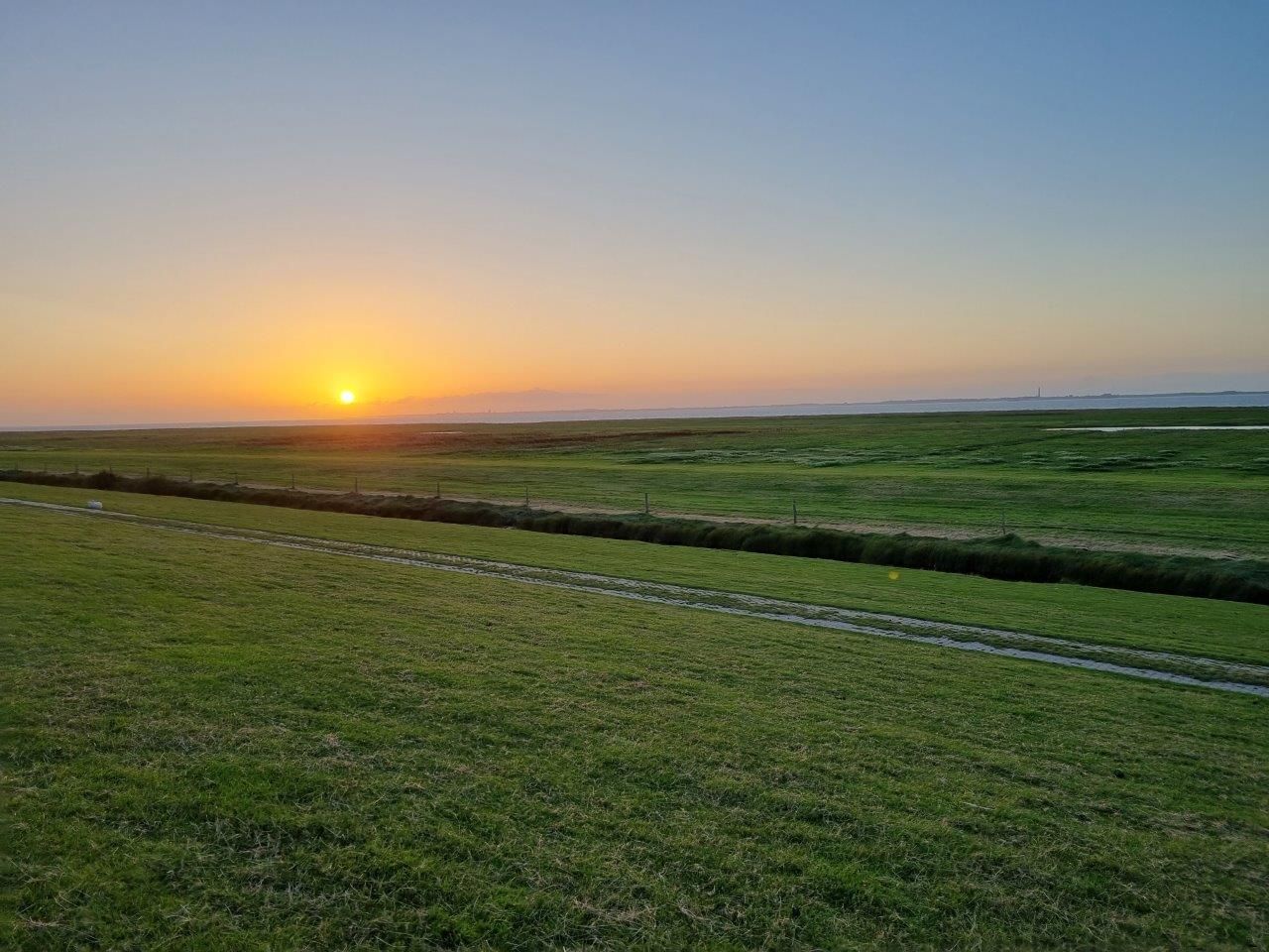 Ganz viel Arbeit mit den Gänsen – Jagdschulung in Lütetsburg am Deich 12.09.23