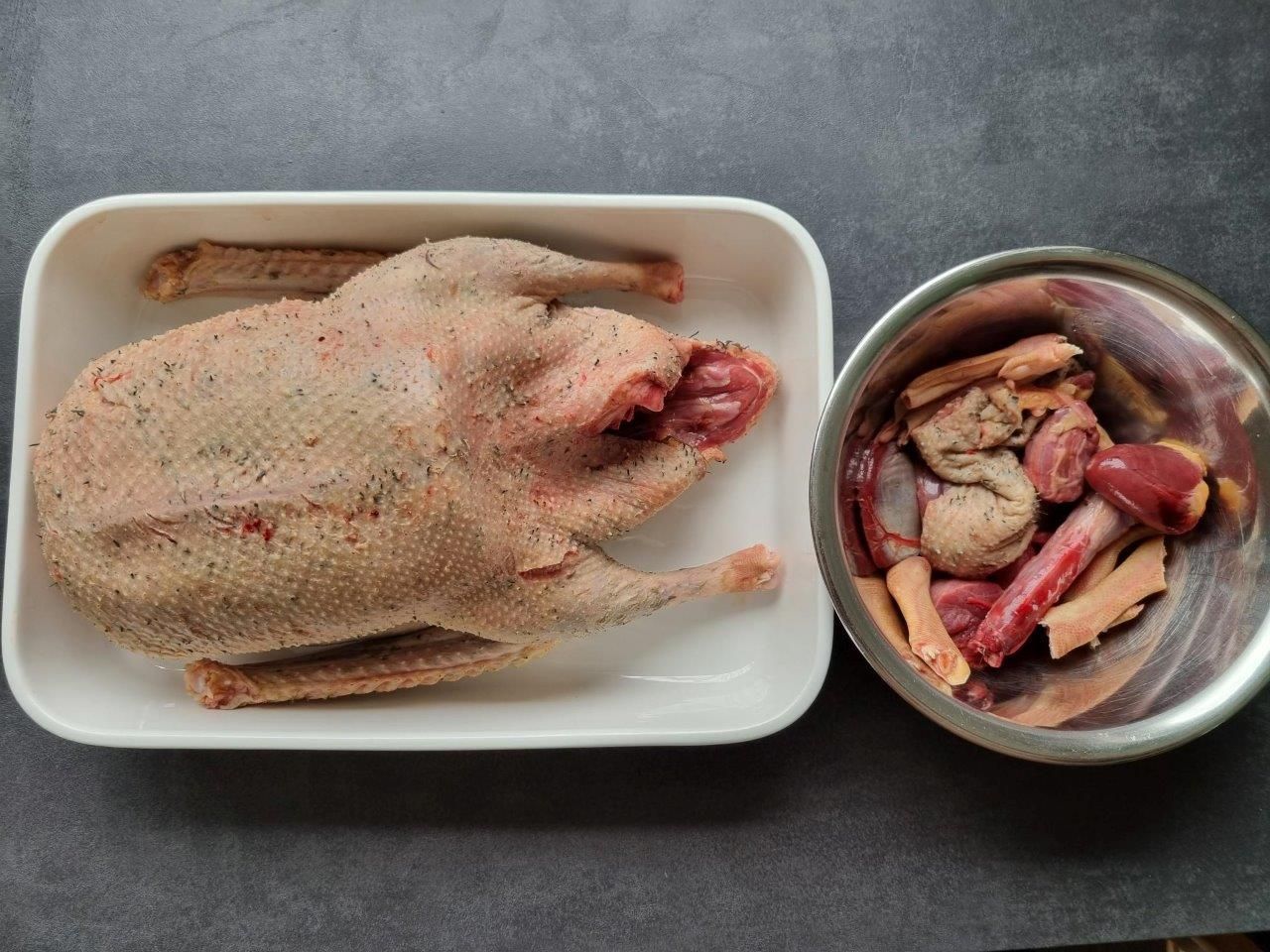 Ganz viel Arbeit mit den Gänsen – Jagdschulung in Lütetsburg am Deich 12.09.23