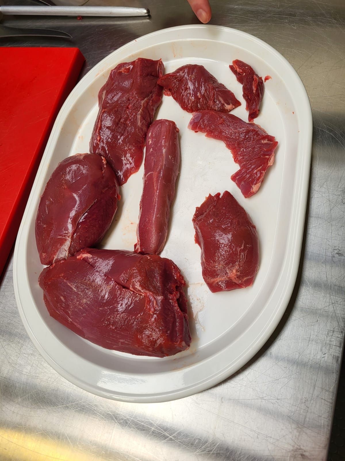 Jagd & Hund - Europas größte Jagdmesse - Workshops & Wild Food Festival - Dortmund 29.01. - 04.02.24