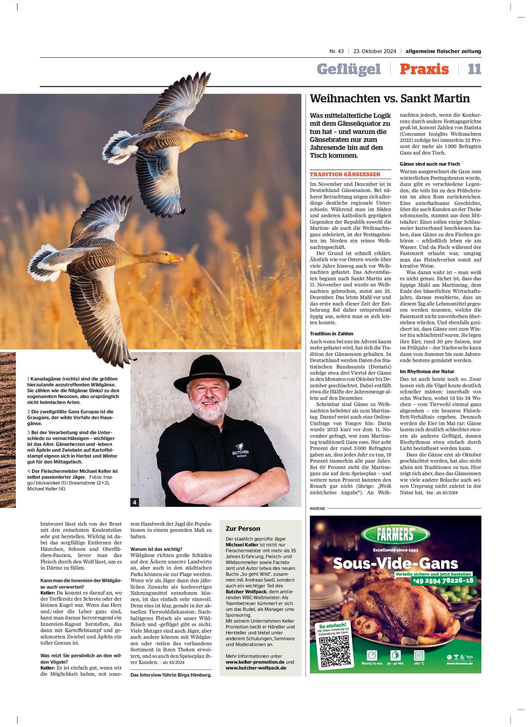 afz 23.10.24 - Wildgänse