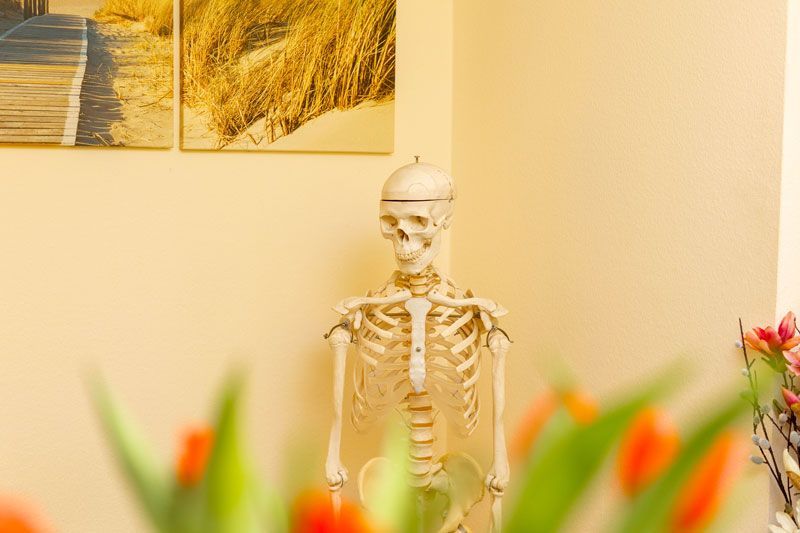 Ein Skelett sitzt in einem Raum neben Blumen.