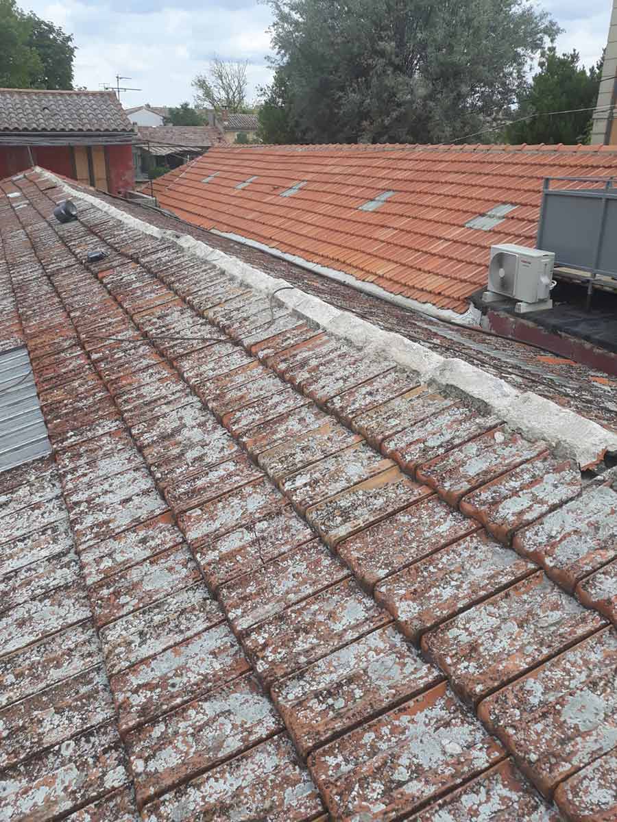 Démoussage de toiture de flanc