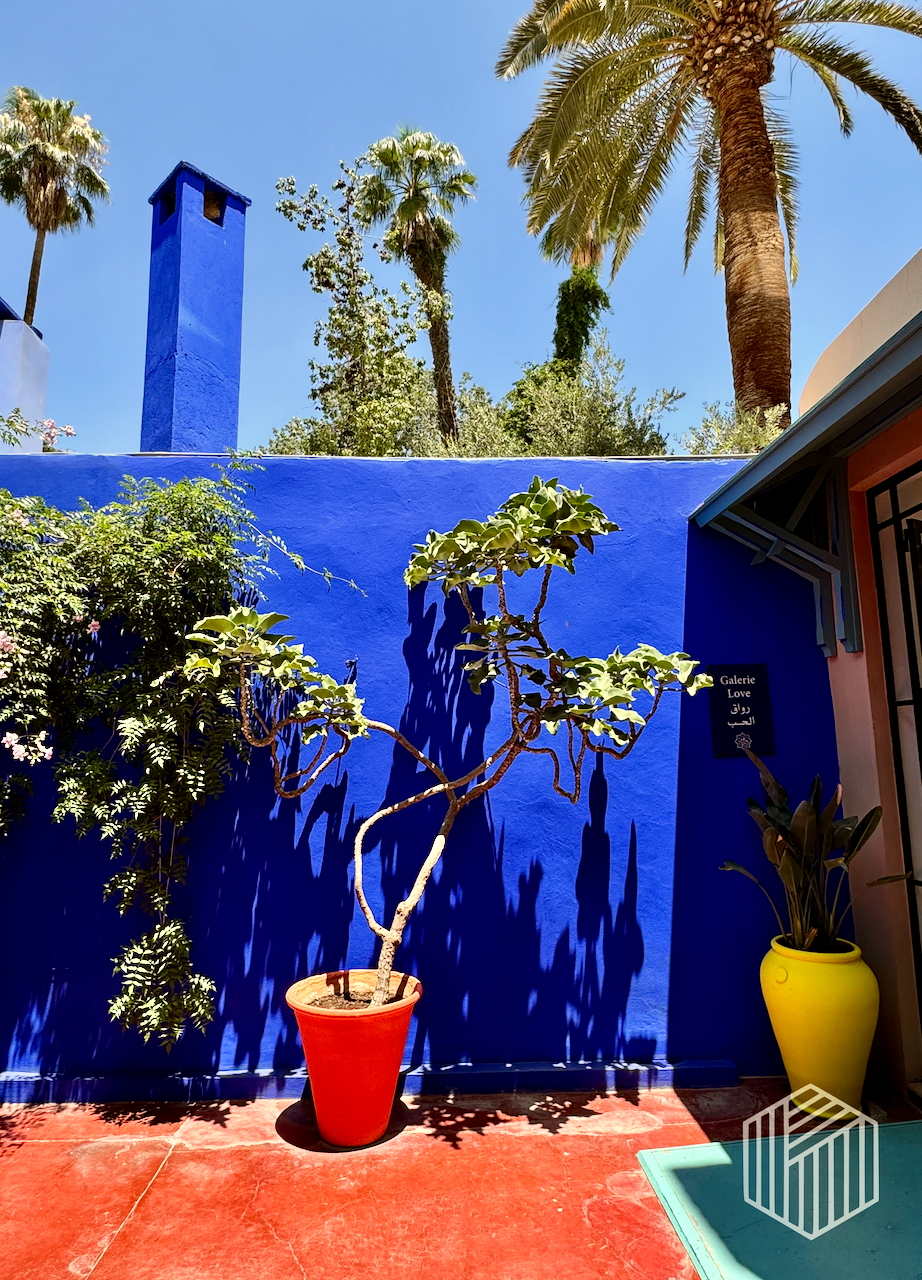 Eine rote Topfpflanze steht vor einer blauen Wand