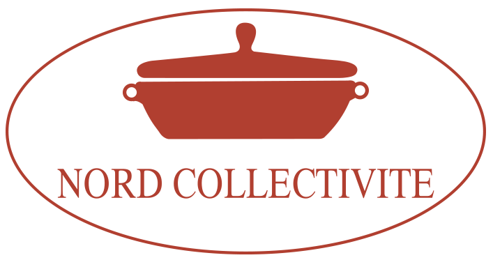 Vers la page d'accueil Logo de Nord Collectivités