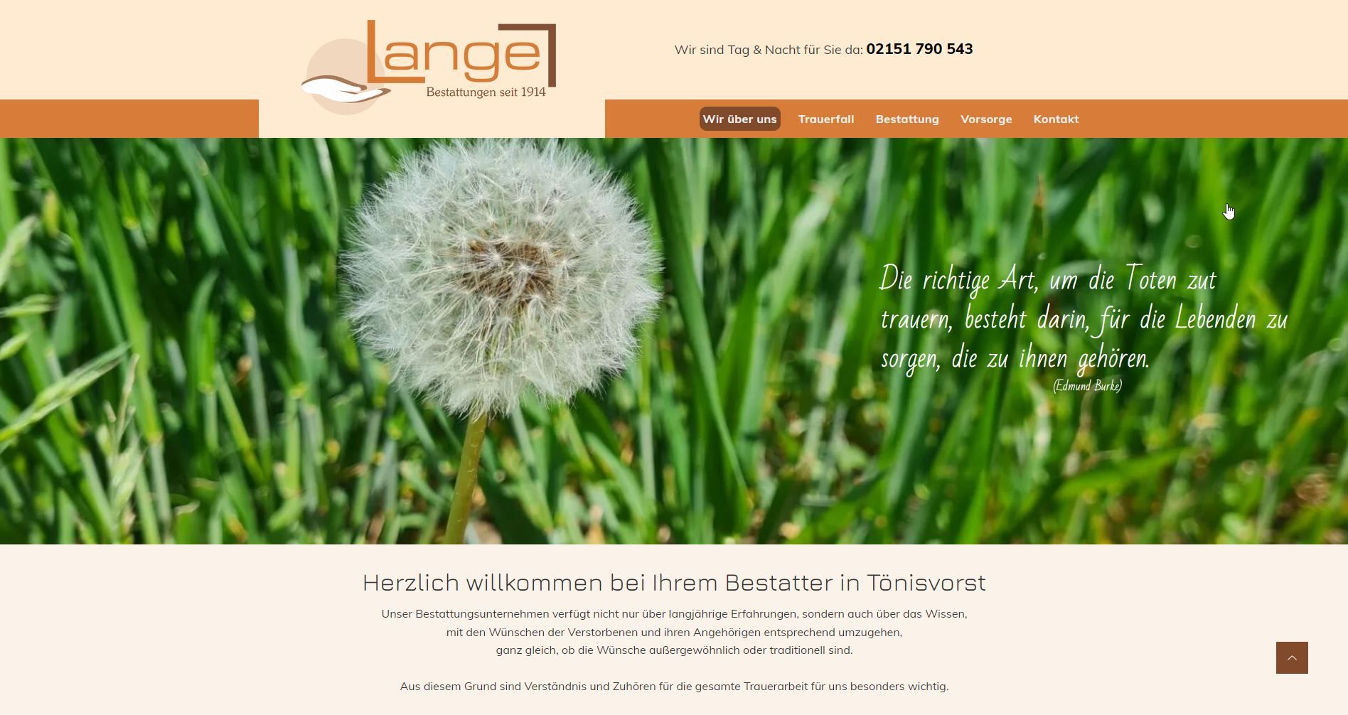 Homepage der Website mit Löwenzahn im Gras, dem „Lange“-Logo und dem Navigationsmenü der Website.