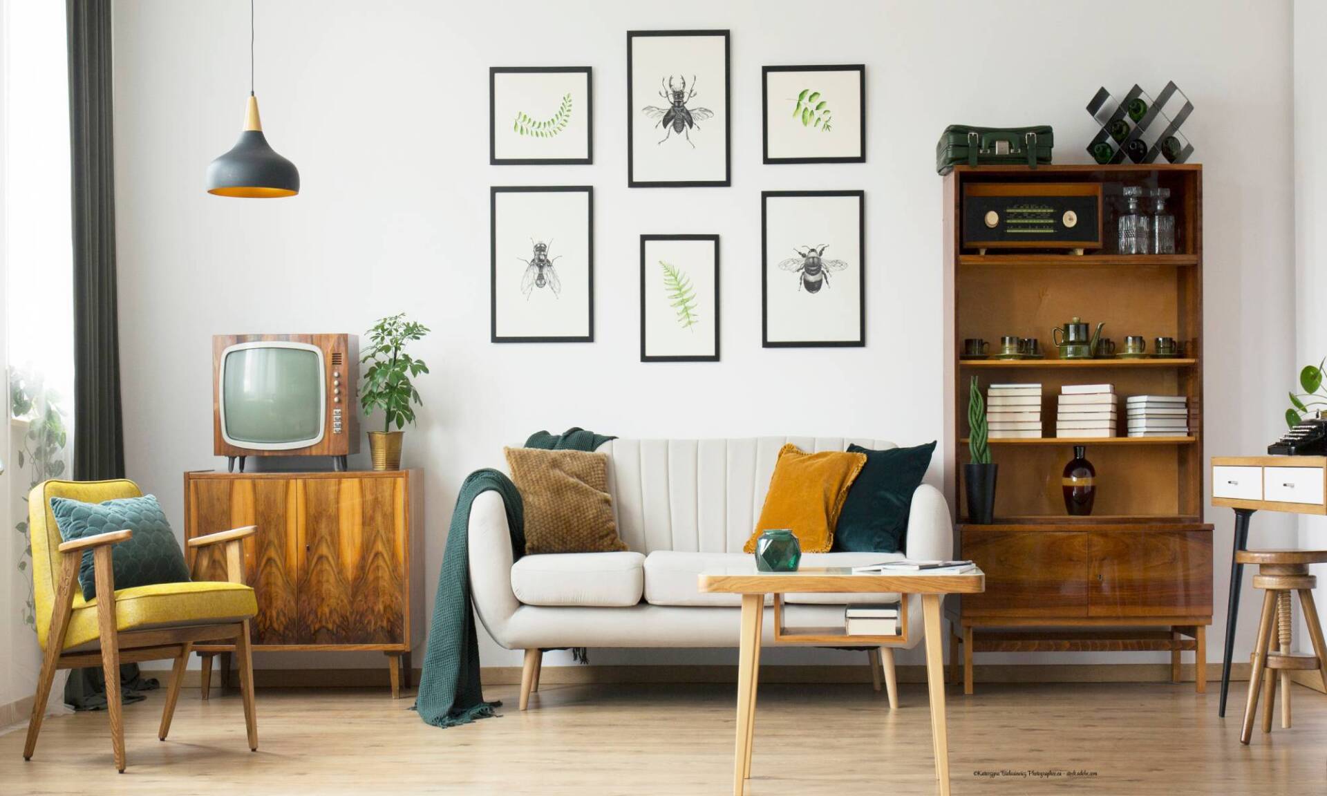 Sauberes Wohnzimmer nach Entrümpelung durch Abel Josef Wohnungsauflösungen