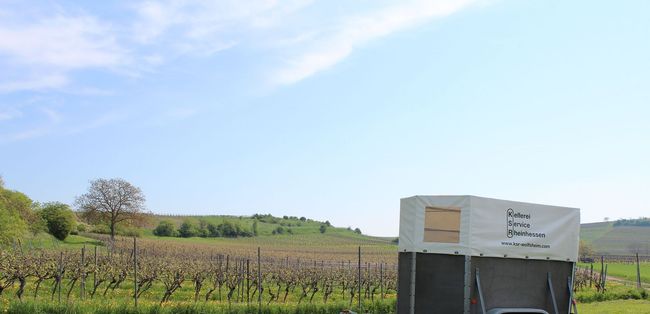 Ein weißes Zelt steht mitten auf einem Feld.