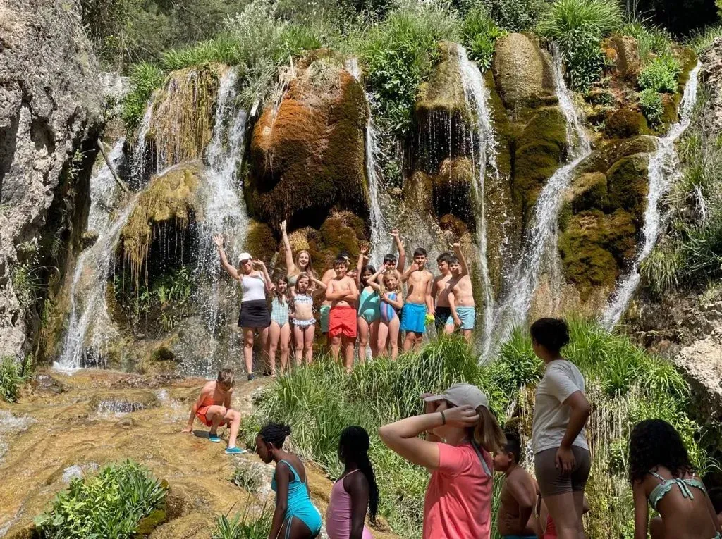 Cucarachas arrastrándose sobre migas y baldosas en el piso cerca de una pared.