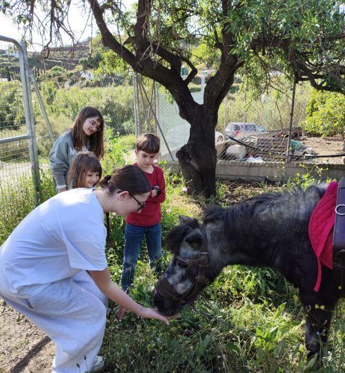 Niños alimentando a un pequeño pony al aire libre.