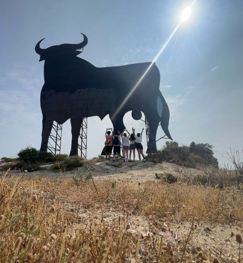 Silueta de toro de Osborne con cinco personas levantando los brazos en una colina bajo el sol.